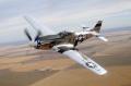 1945 NORTH AMERICAN P-51 MUSTANG for sale