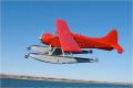 1956 DEHAVILLAND DHC-2 for sale