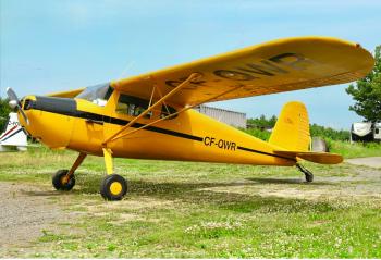 1947 Cessna 140 for sale - AircraftDealer.com