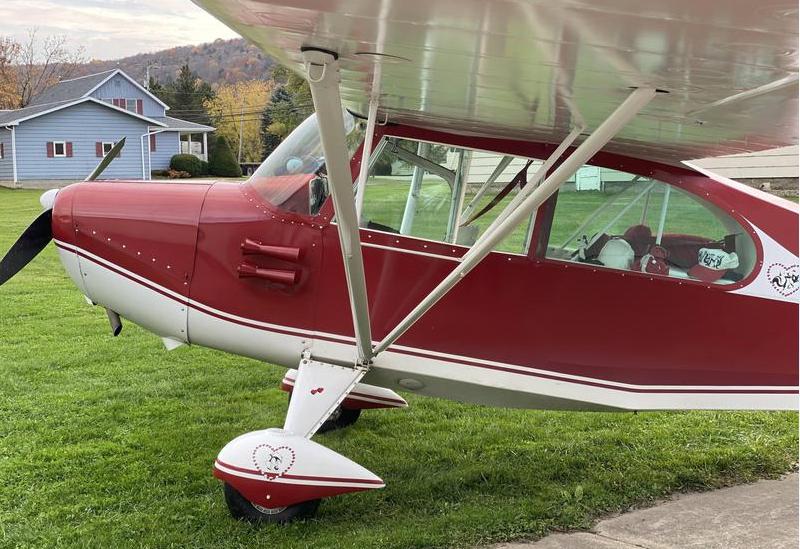 1959 AMERICAN CHAMPION 7 EC Photo 4