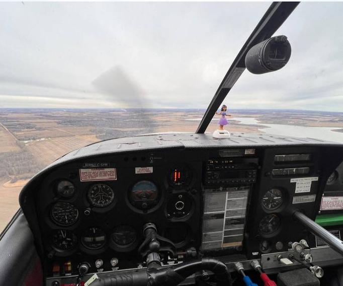 1965 CESSNA P206 Photo 4