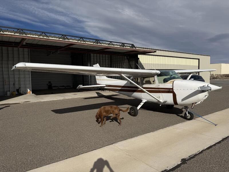 1979 Cessna 172N Skyhawk Photo 2