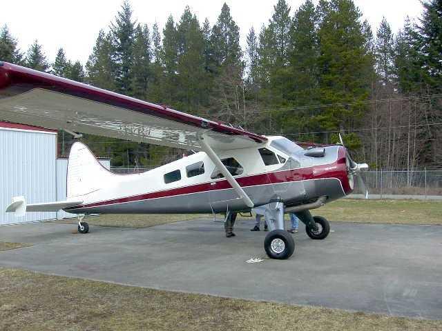 1950 DeHavilland Beaver Photo 2