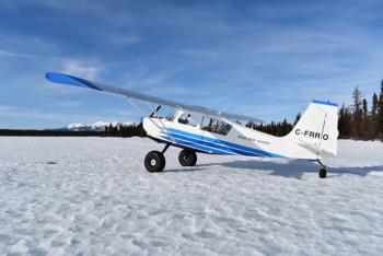1975 American Champion Scout for sale - AircraftDealer.com
