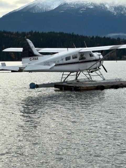 1951 DeHavilland Beaver on 4930s Photo 2