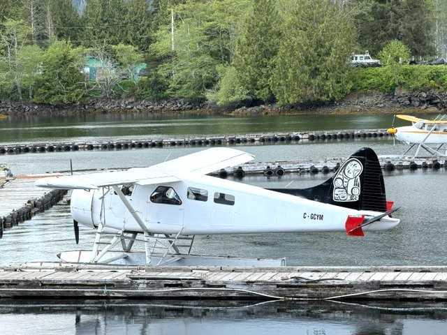 1952 DeHavilland Beaver Photo 2