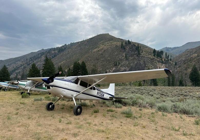 1979 Cessna C-180K Photo 2