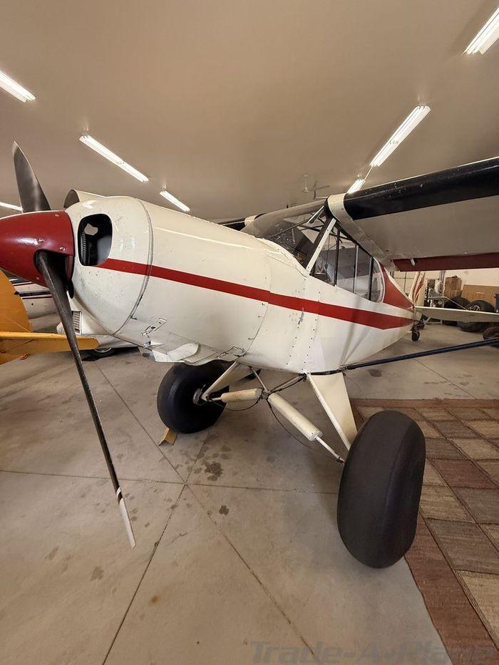 1956 PIPER PA-18 SUPER CUB Photo 2