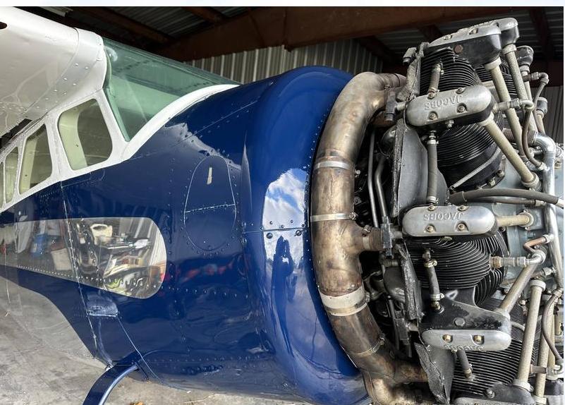 1952 CESSNA 195 Photo 4