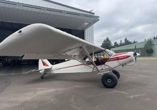 Piper PA18 Super Cub Photo 2