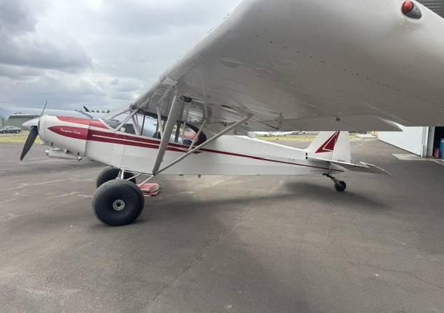 Piper PA18 Super Cub Photo 3