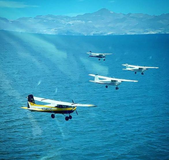 1958 Cessna 175 Photo 6