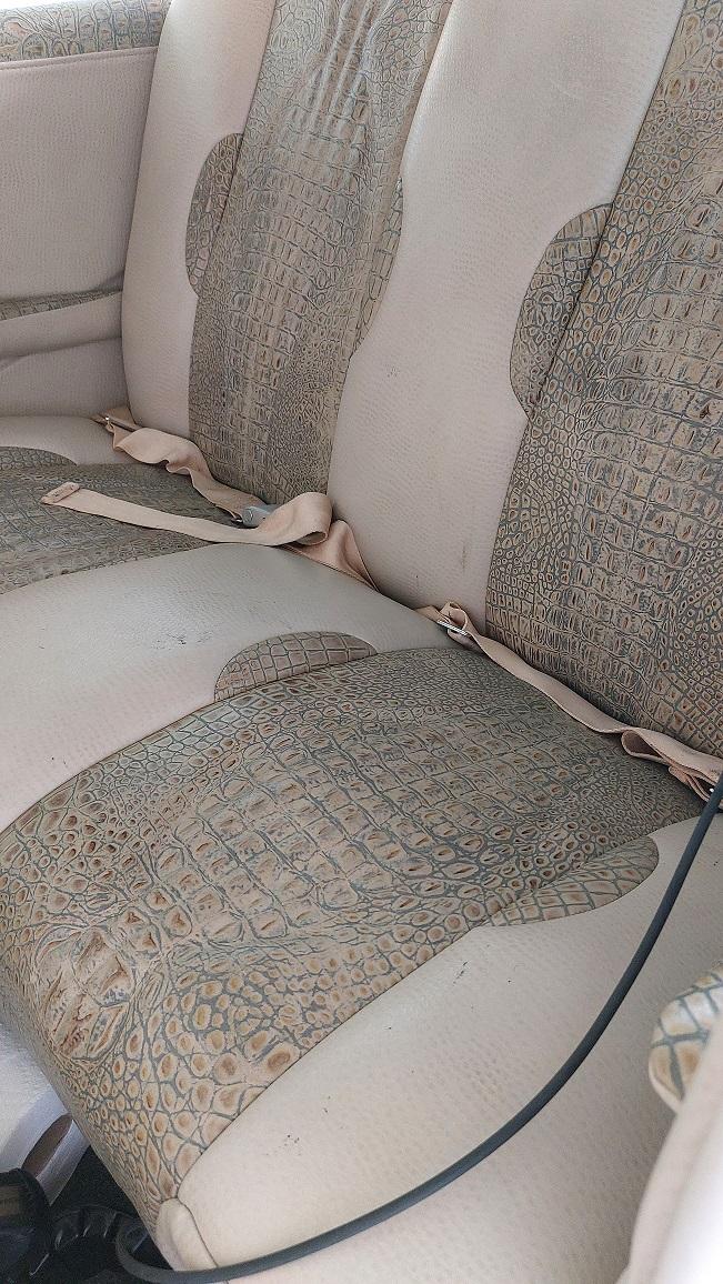 1962 Cessna 182E Photo 2