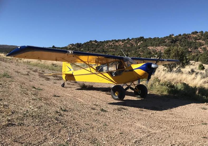 Piper Super Cub Photo 2