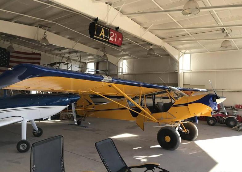 Piper Super Cub Photo 3
