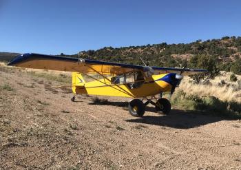 Piper Super Cub for sale - AircraftDealer.com