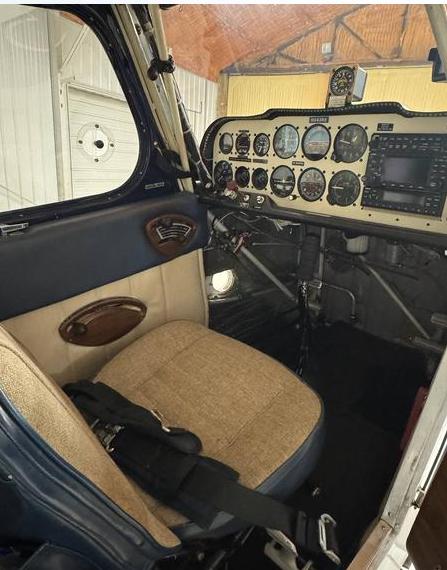 American Champion 7GCAA Photo 4