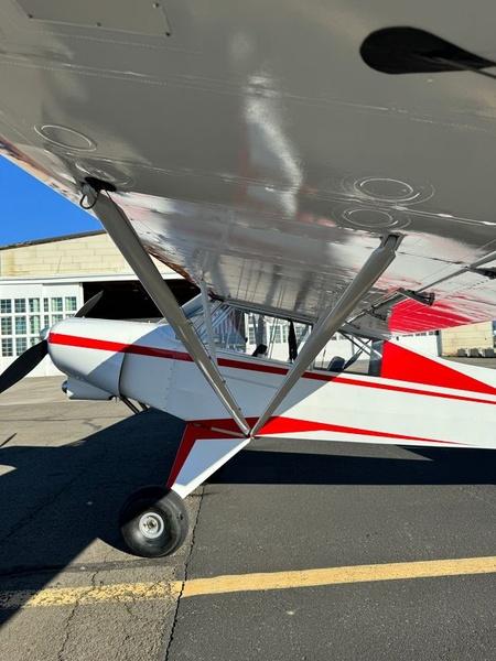 2015 Javron Experimental Cub Photo 4