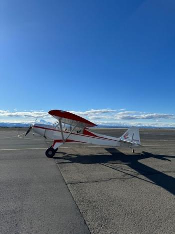 2015 Javron Experimental Cub for sale - AircraftDealer.com