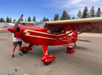 1955 Piper Pacer Taildragger PA-20 for sale - AircraftDealer.com