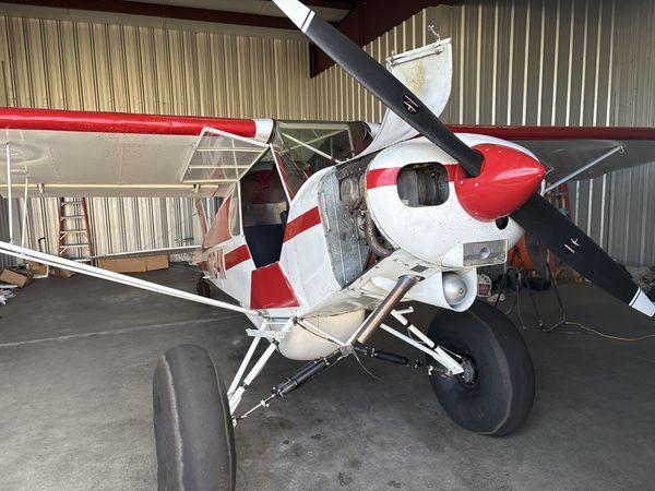 1952 Piper PA-18 SuperCub Photo 3