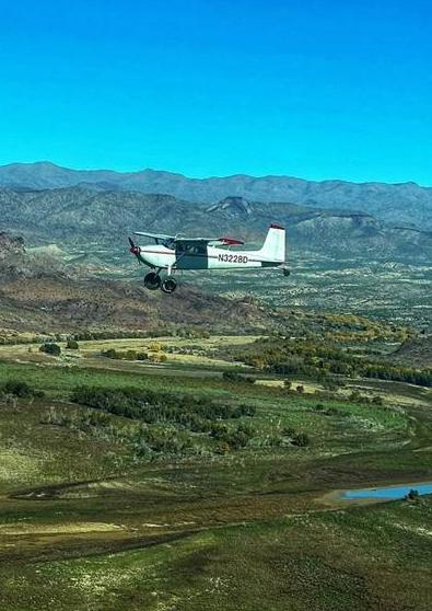 1955 CESSNA 180 Photo 3