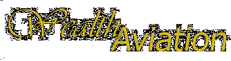 Wealth Aviation