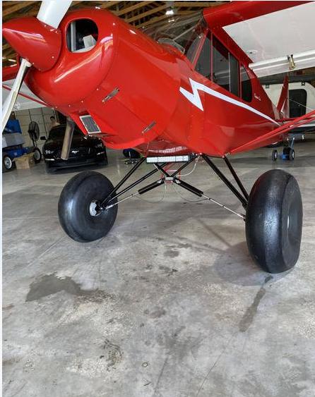 2018 PA-18 EX SUPERCUB MONSTER Photo 4